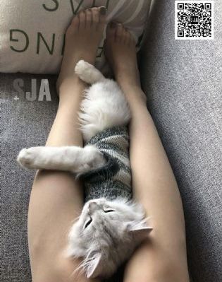 国产精品欧美久久久久久_高清免费观看最新