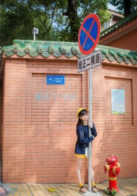 成人亚洲少妇av_1080P免费高清观看