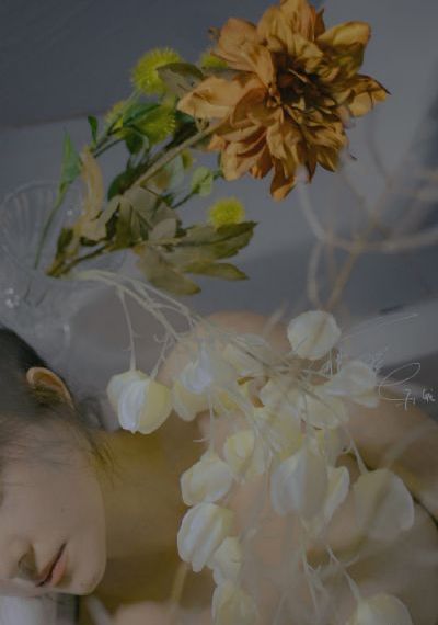 成人信息在线欧美_HD在线手机播放