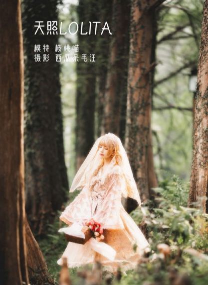 欧美在线观看2021年_DVD全集在线观看